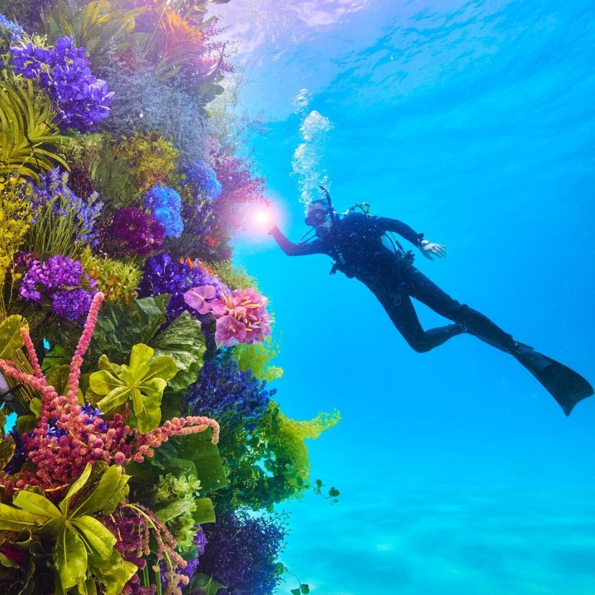 Belize coral sculpture