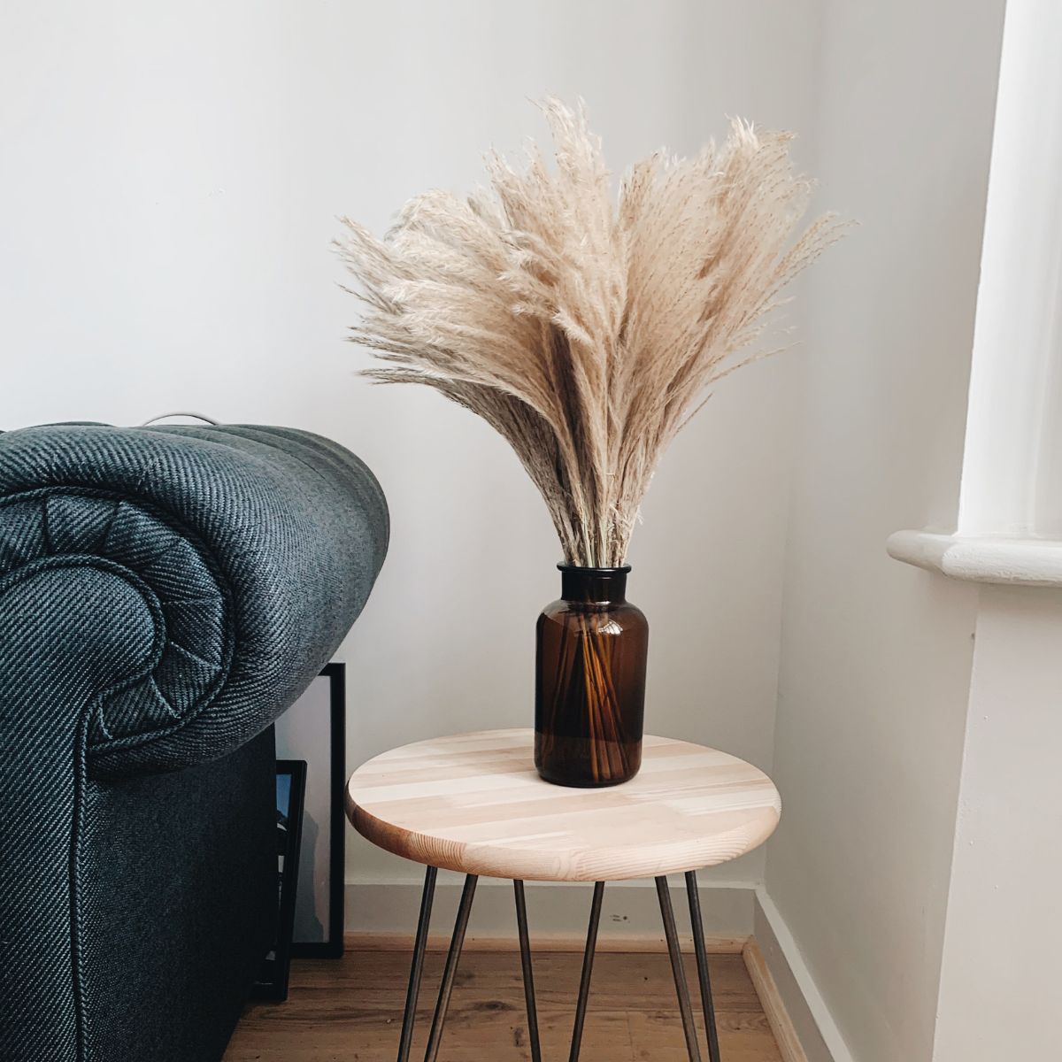 Pampas grass for interior decorations on Thursd 