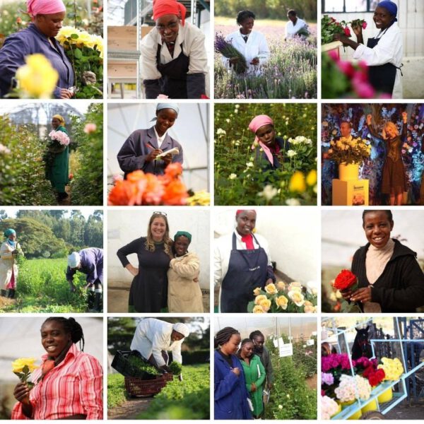 Tambuzi Rose Farm is so Much More Than Just a Business International Womens Day