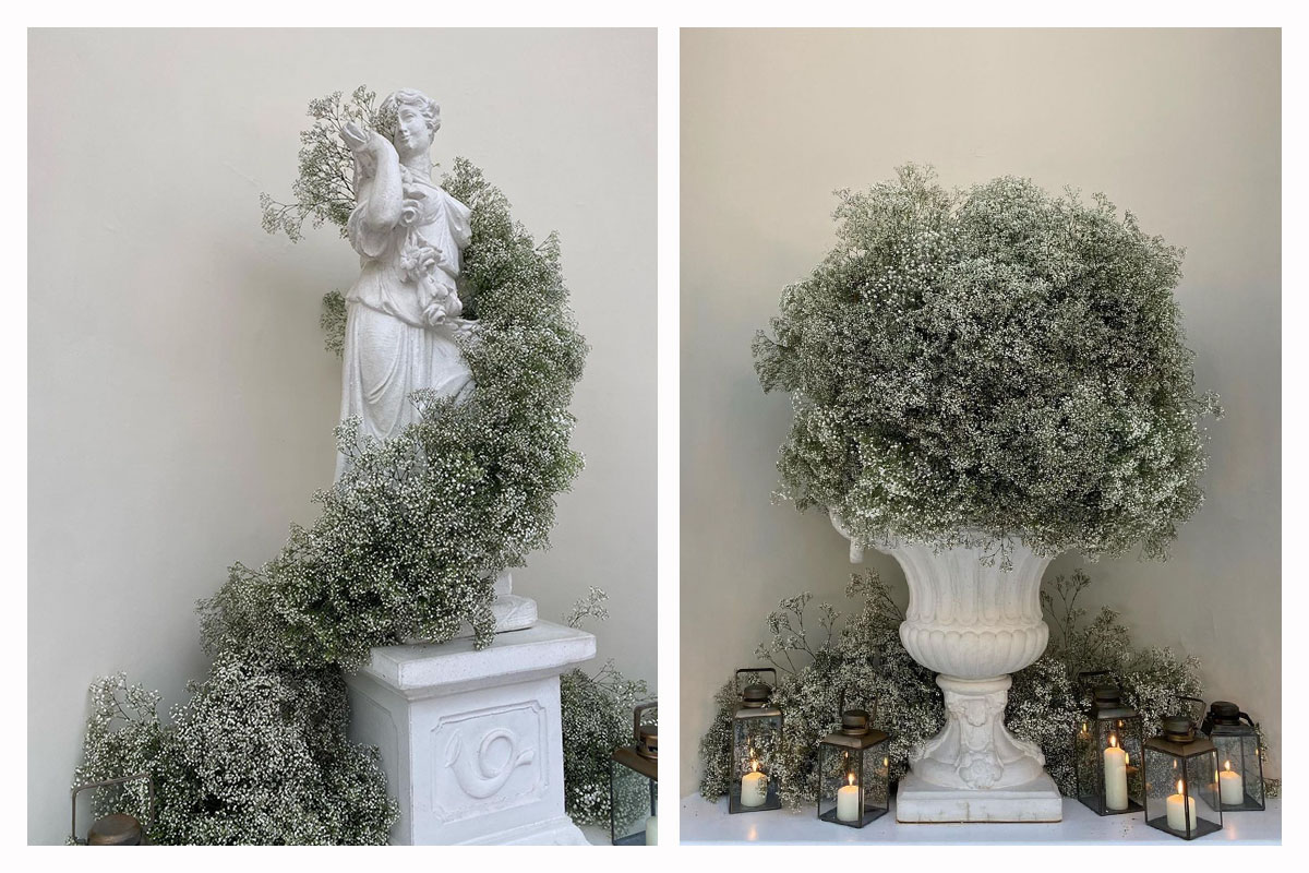 Gypsophila decor ideas