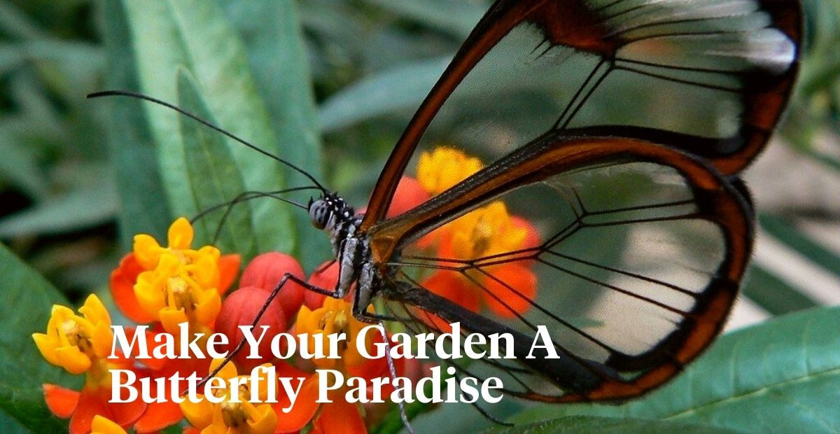 How to achieve a butterfly garden header on Thursd  (1)
