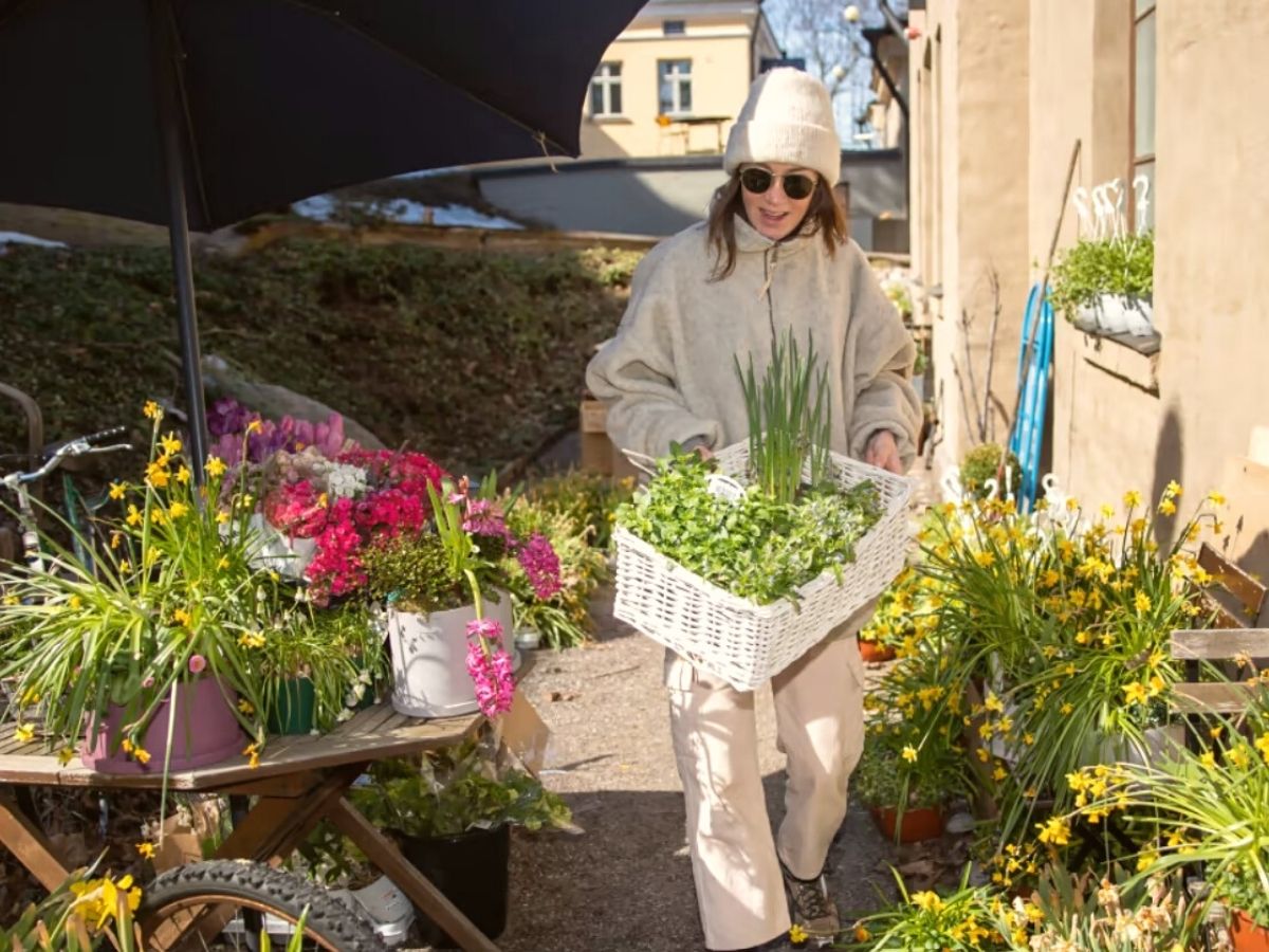 Armi Kunnaalas works with wilted and worn out flowers and plants on Thursd