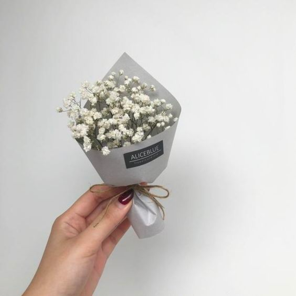 Baby's Breath Gift on Thursd