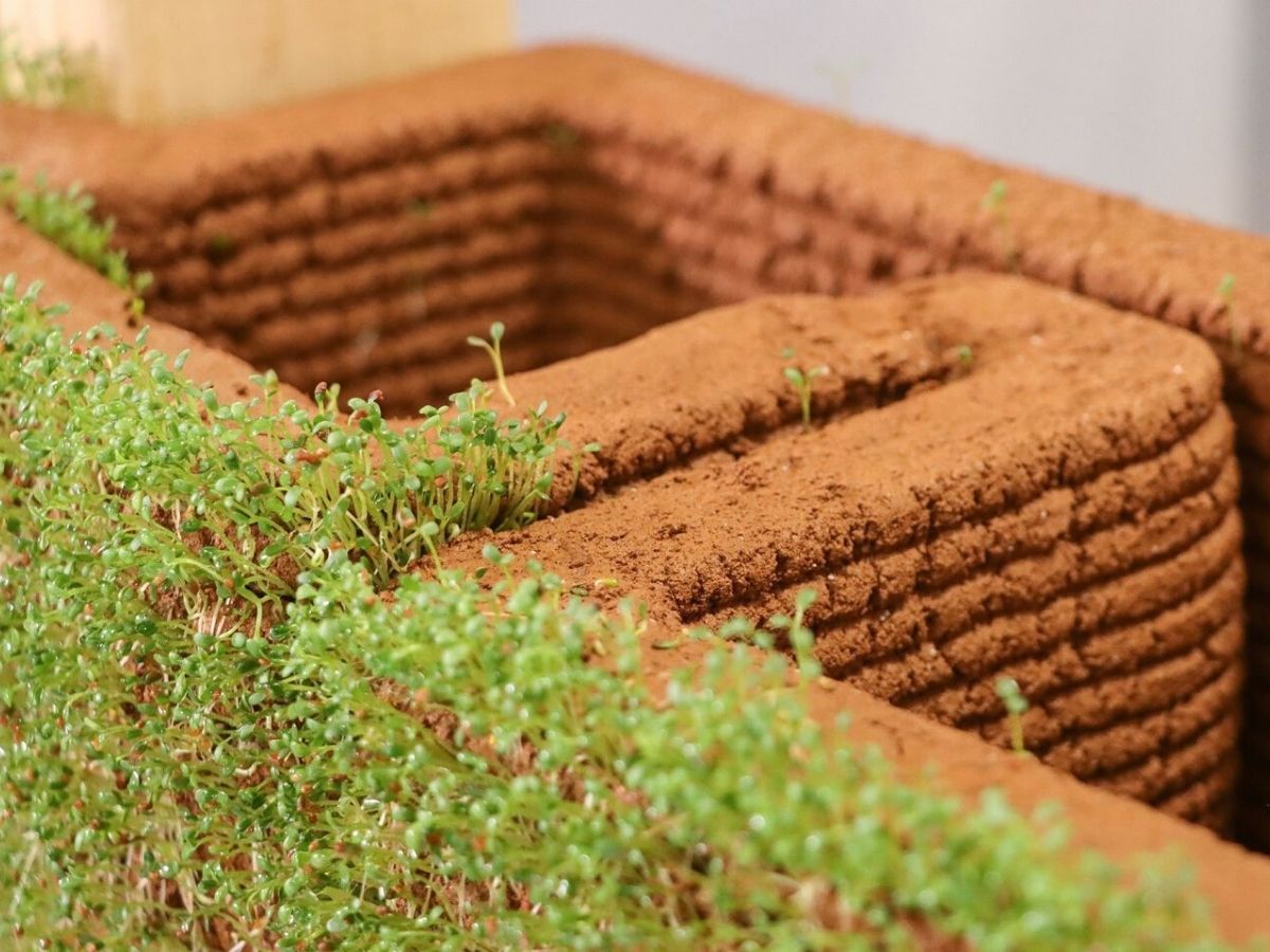 Closeup of living soil walls on Thursd