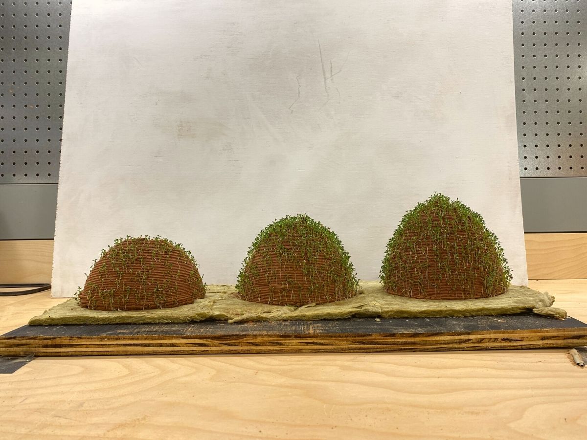 3 different living soil wall models on Thursd