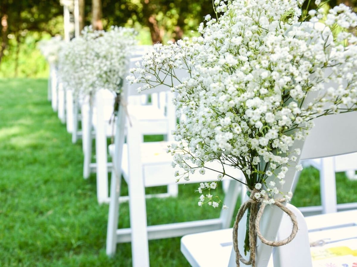 Babys breath is one of the most used for wedding bouquets and decor on Thursd