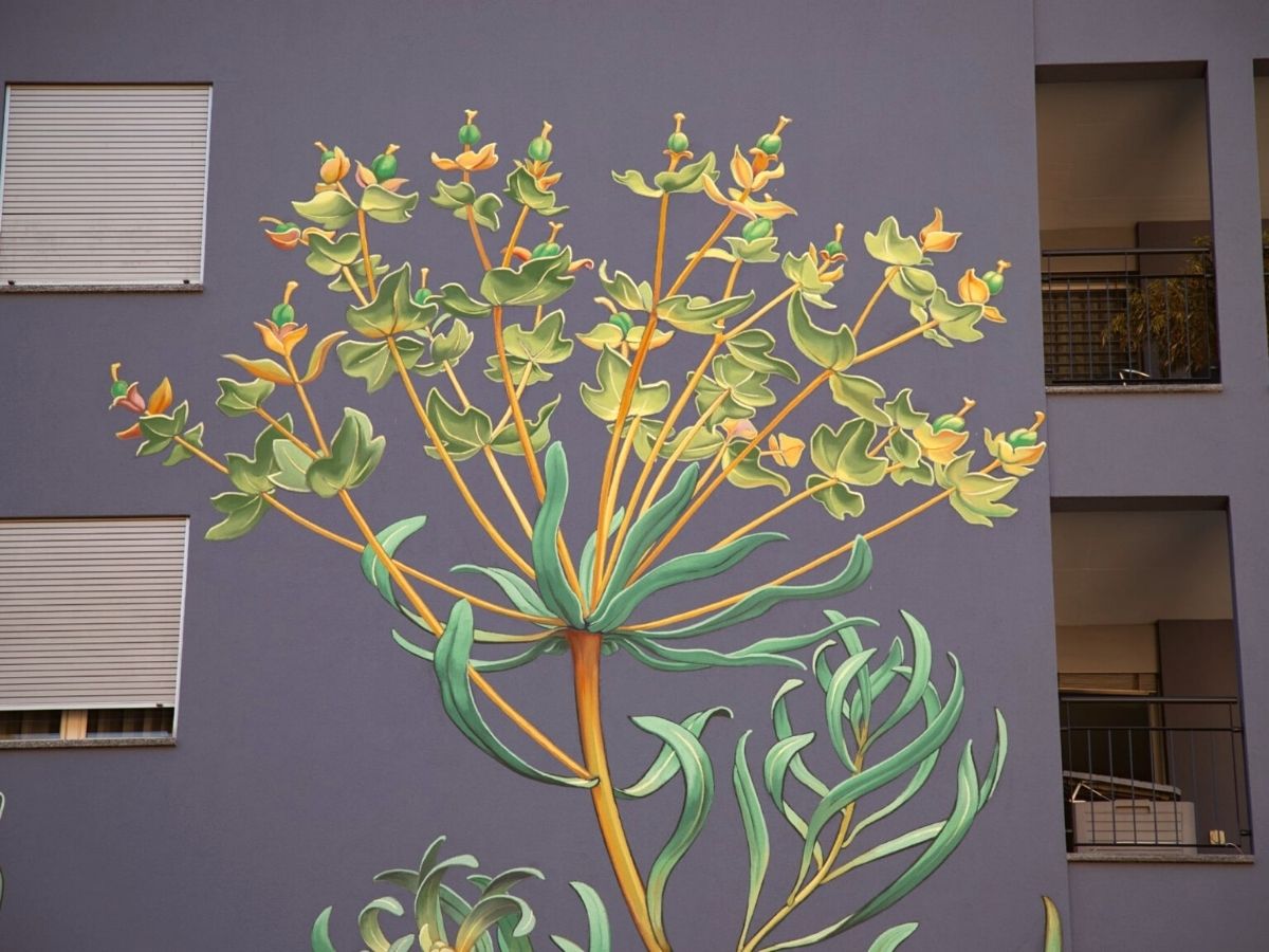 Mona Caron paints euphorbia floral murals in Switzerland on Thursd