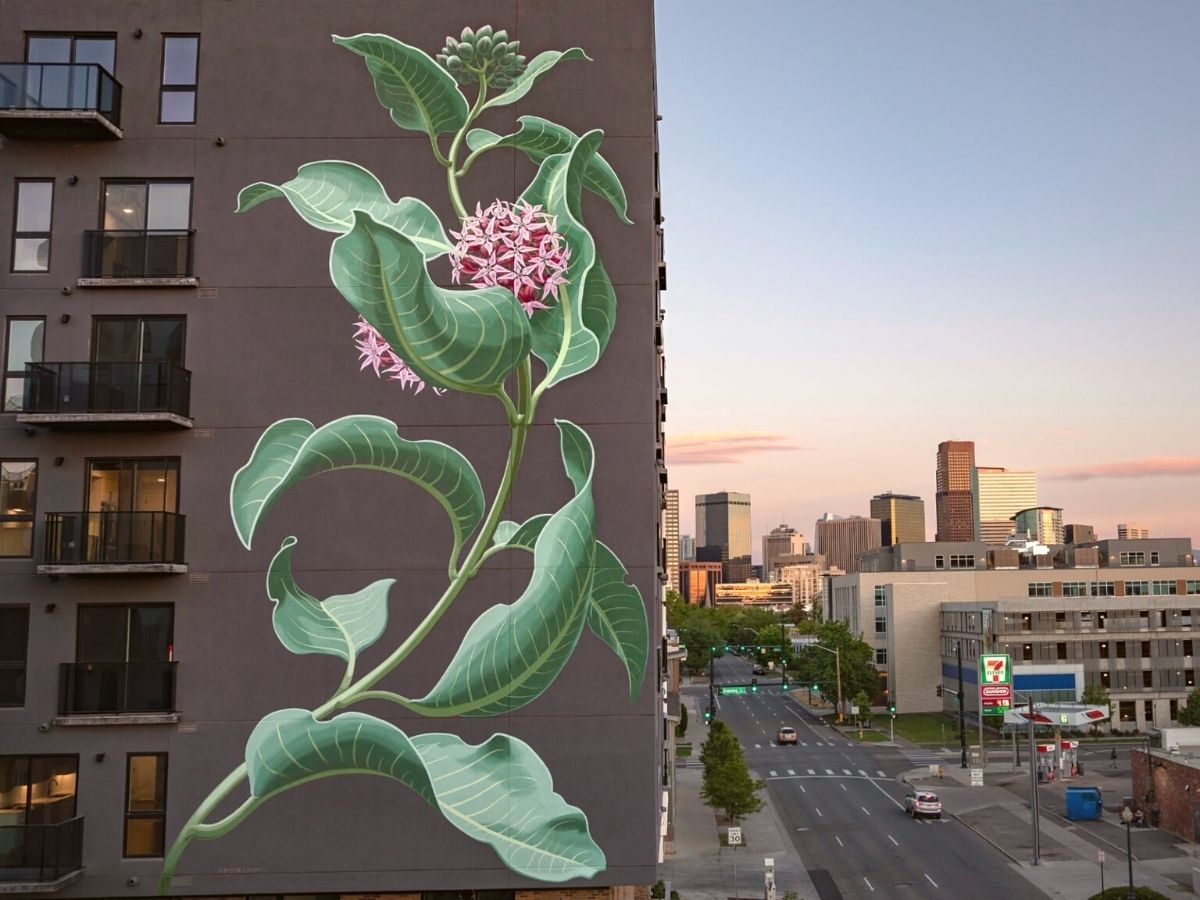 Mona Caron paints pink milkweed on building as a beautiful floral mural on Thursd