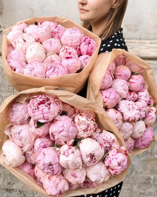 7 Flowers for International Women’s Day Pink Peonies
