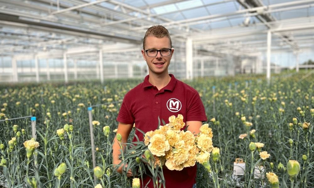 Mediaverdi - Jeroen Buis in dianthus greenhouse