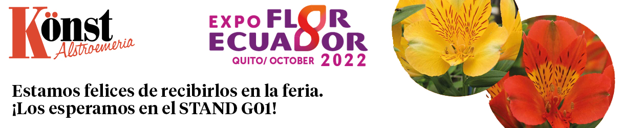 Könst Alstroemeria Expo Flor Ecuador Banner on Thursd 2022-01