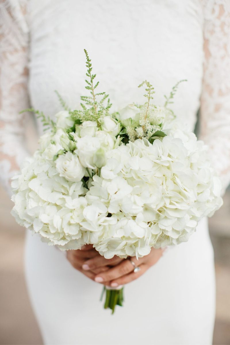 White wedding hydrangeas for wedding bouquets on Thursd