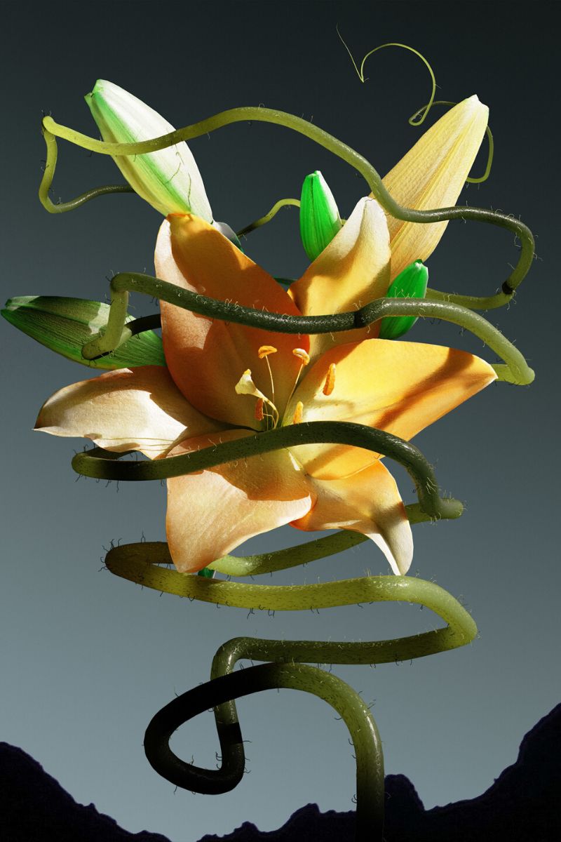 Lilium custodia done by Ondrej Zunkas on Thursd