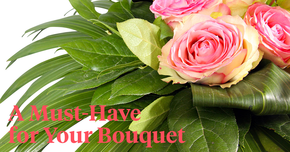 Salal for your bouquet header on Thursd