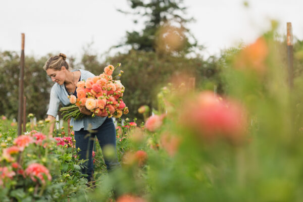 The {Farmer} & The Florist Interview: Zoë Field - Floret Flowers