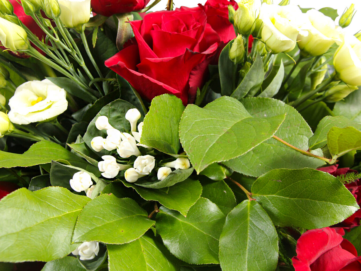 Salal and Bouvardia Red Roses Lisianthus on Thursd