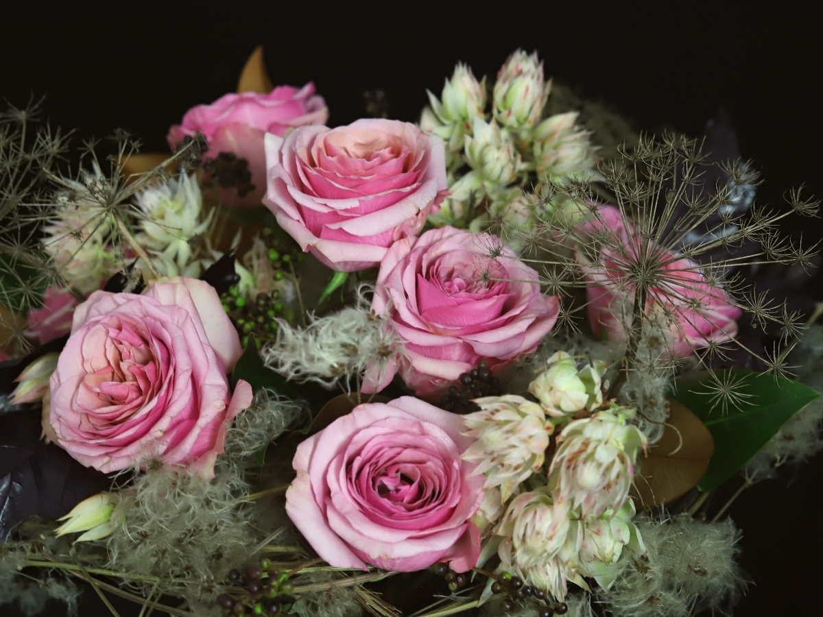 Protea Blushing Bride Is My Elegant 'Jewelry' Flower