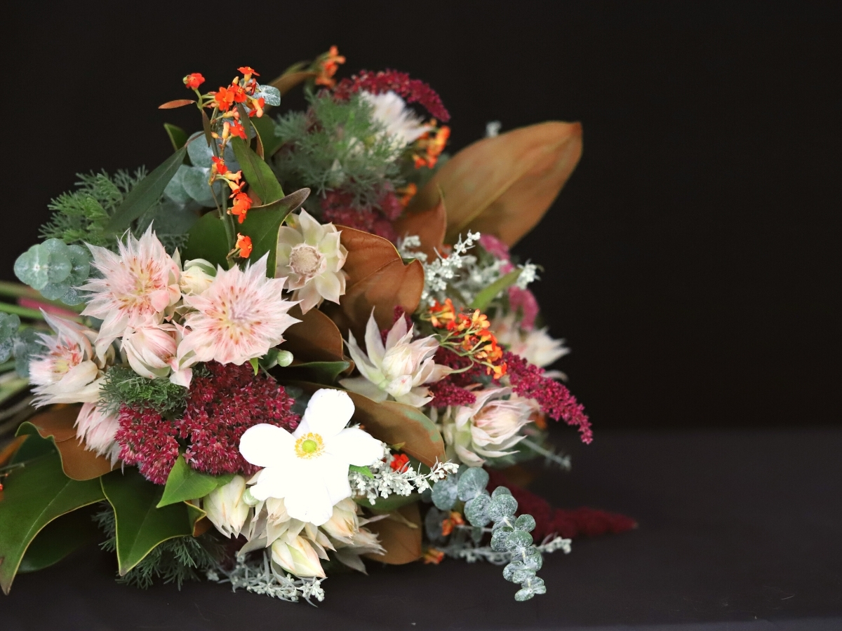 Protea Blushing Bride Is My Elegant 'Jewelry' Flower