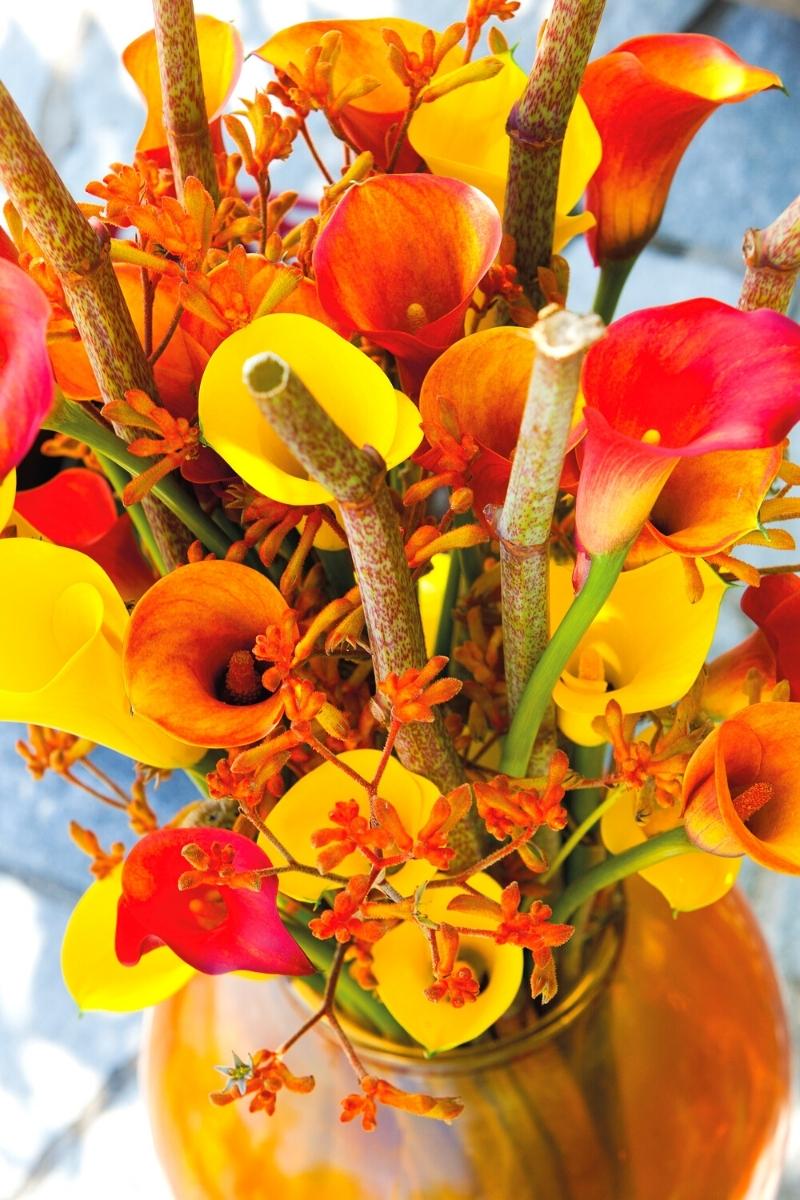 Halloween flower decorations with Callas on Thursd