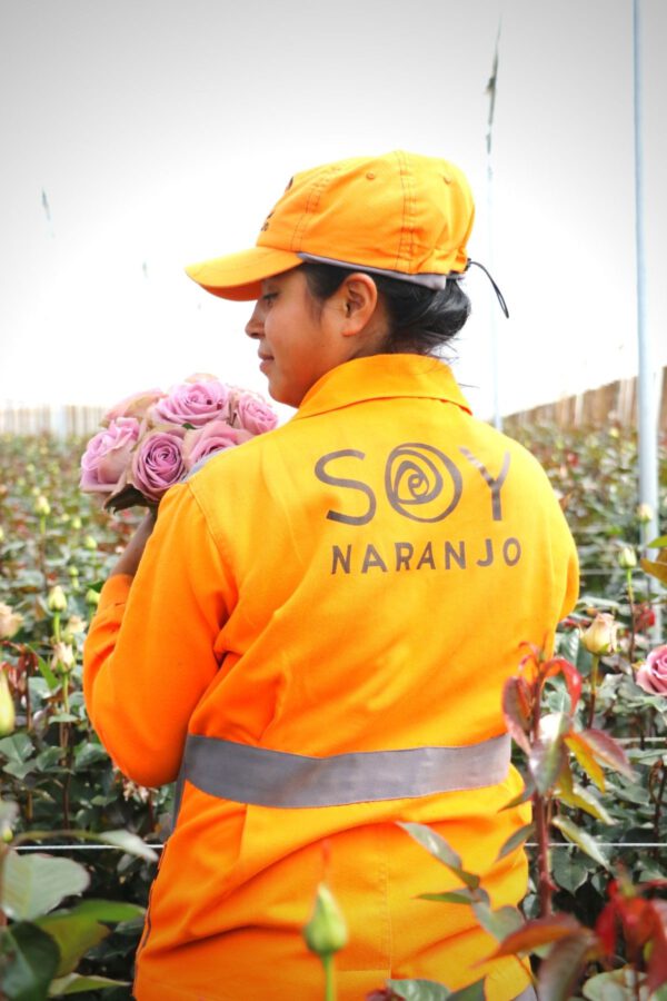Who Run the World_ 8 Reasons To Celebrate Women and Take this Challenge - Article on Thursd - Naranjo roses (1)