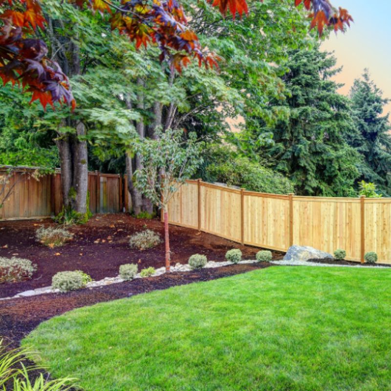 how-to-upgrade-your-backyard-whilst-making-greener-choices-featured