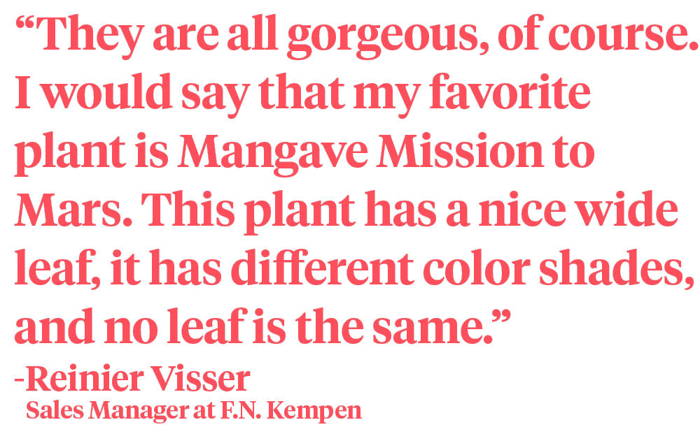 Reinier Visser F N Kempen Mangave quote on Thursd