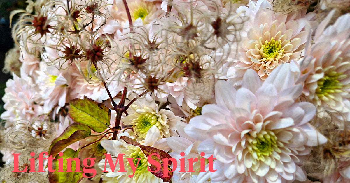 Chrysanthemum Pastela design Elena Engelmann header on Thursd