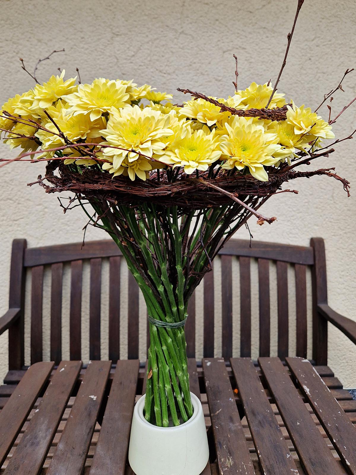 Chrysanthemum Pastela Bellini design Elena Engelmann on Thursd