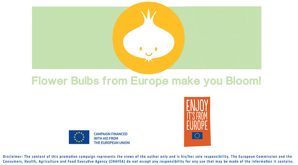 EU Disclaimer Flower Bulbs from Europe make you Bloom on Thursd
