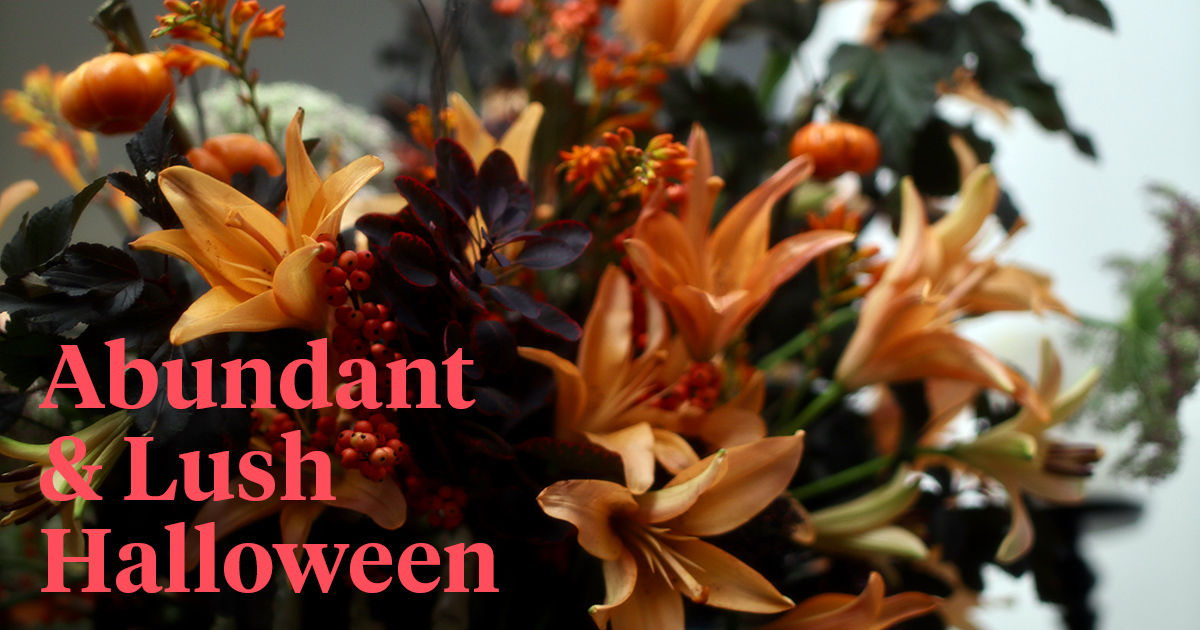 Aniska Creations lilies Halloween header on Thursd