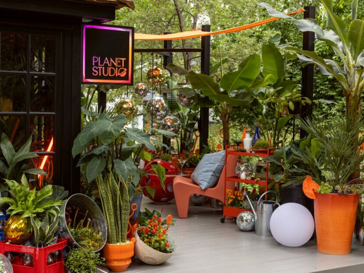 Houseplant exhibition at the Chelsea Flower Show 2023 on Thursd