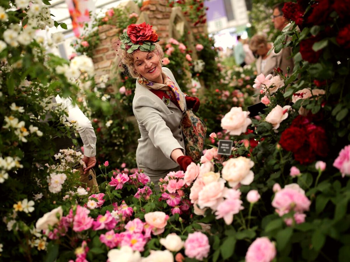 Chelsea Flower Show taking place in London in May 2023 on Thursd