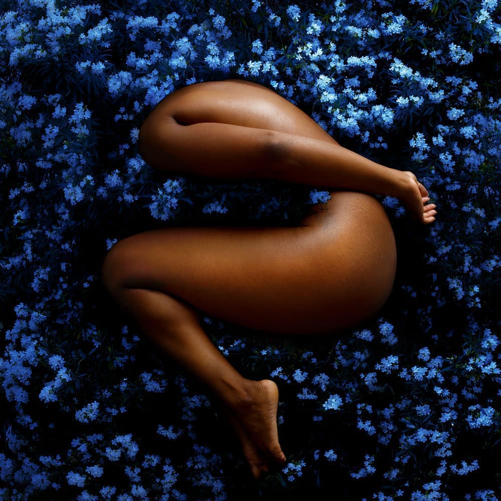 Fares Micue's Glorious Botanical Self-Portraits Blue Flowers