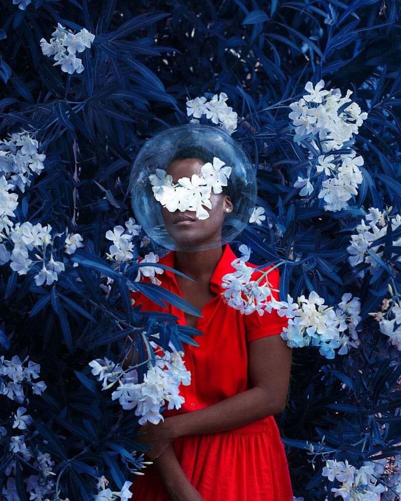 Fares Micue's Glorious Botanical Self-Portraits Blue Flowers