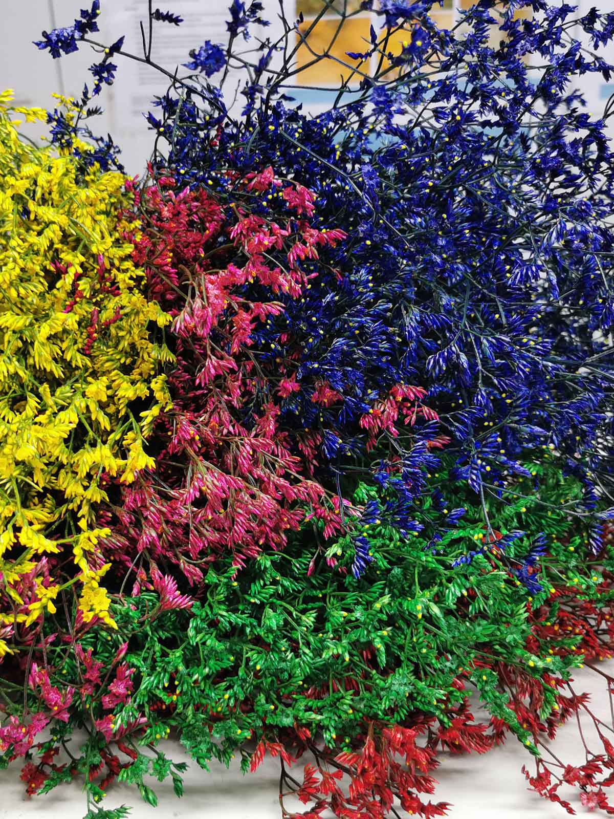 Mixed Painted Limonium Sian Flowers on Thursd