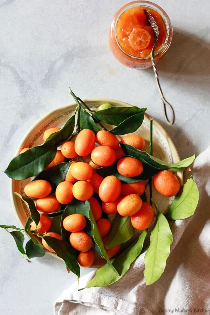 What Is the Kumquat Tree? Here’s a Full Scoop on Everything to Know Ab...