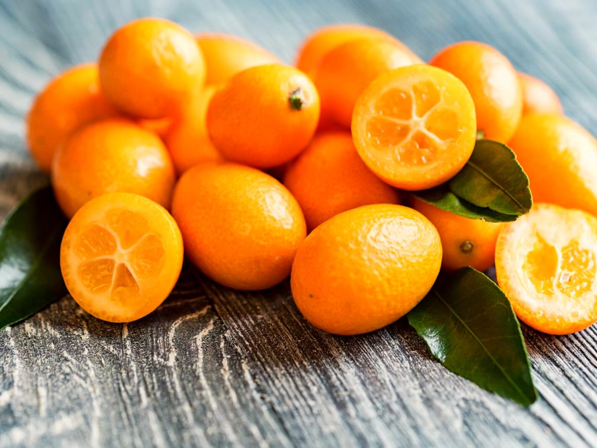 Kumquat fruit shape color and flavor on Thursd