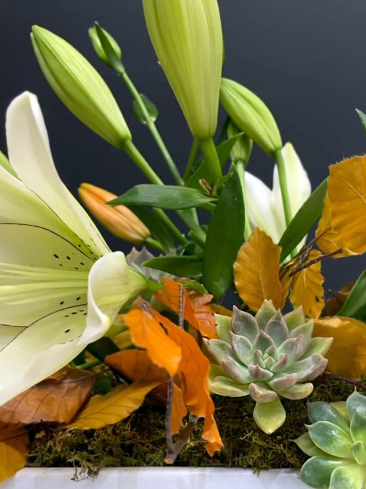 Jenny Thomasson White Lily design on Thursd