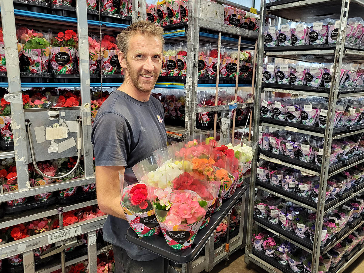 Marco Kuipers Begonia grower on Thursd