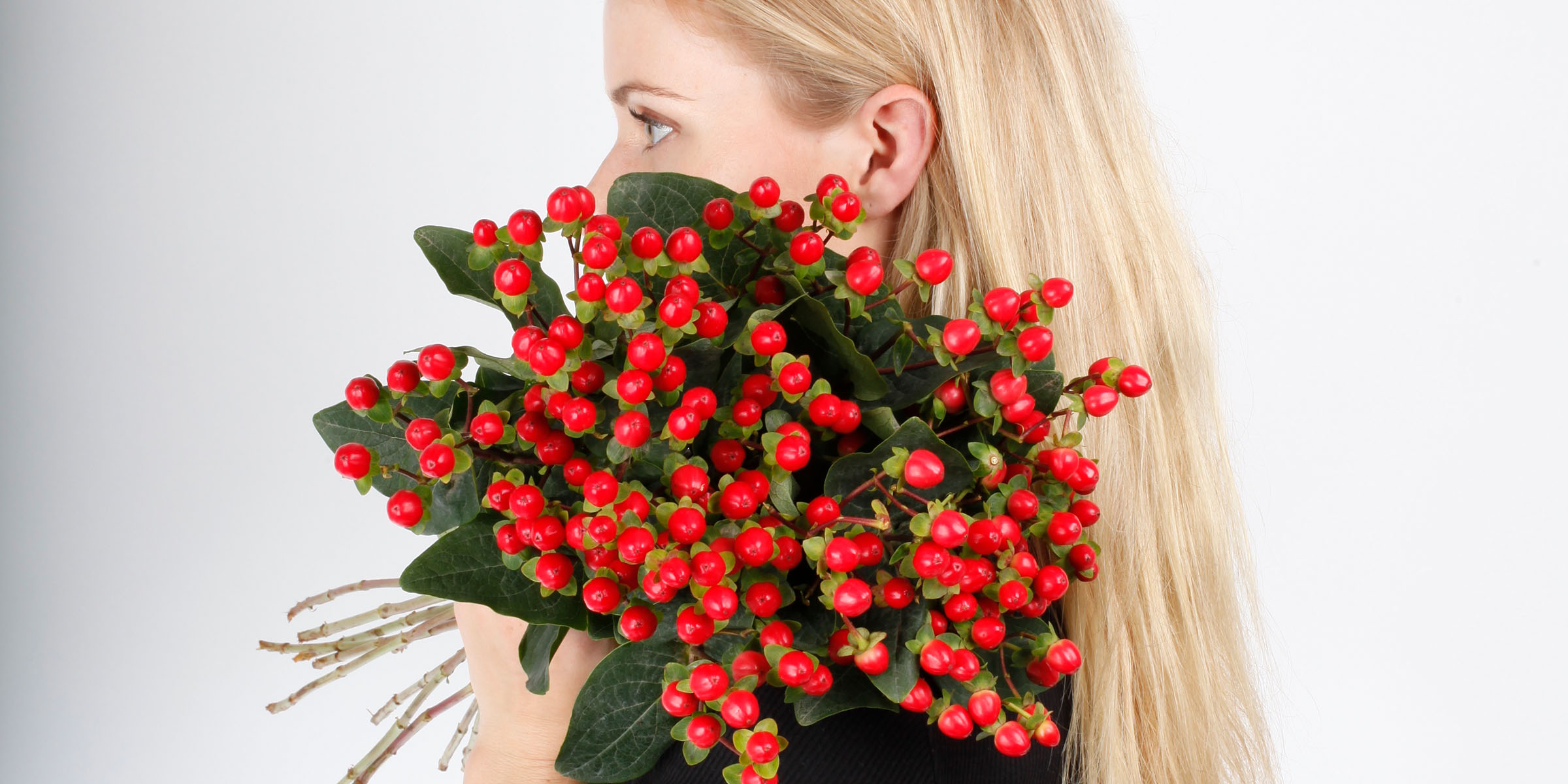 Red Hypericum Will Get You in the Autumn Mood wide feature on Thursd
