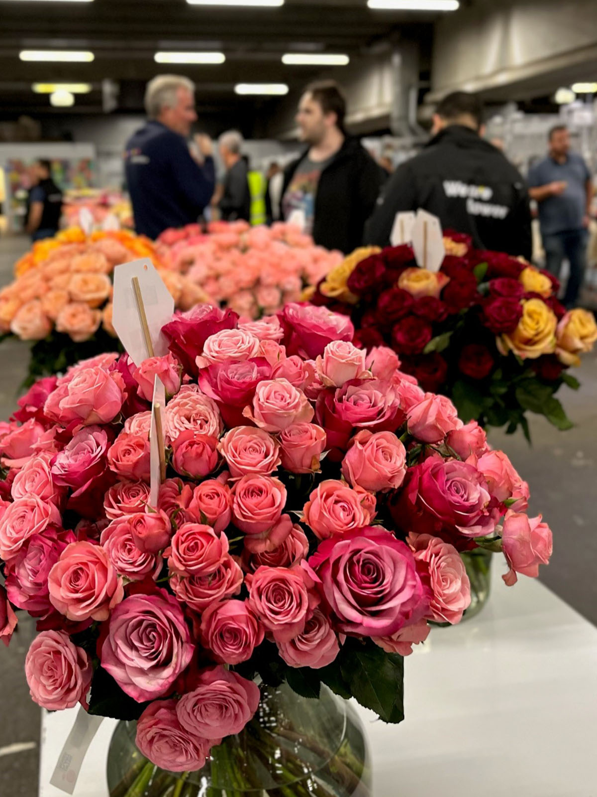 Decofresh House Show 2022 pink roses on Thursd