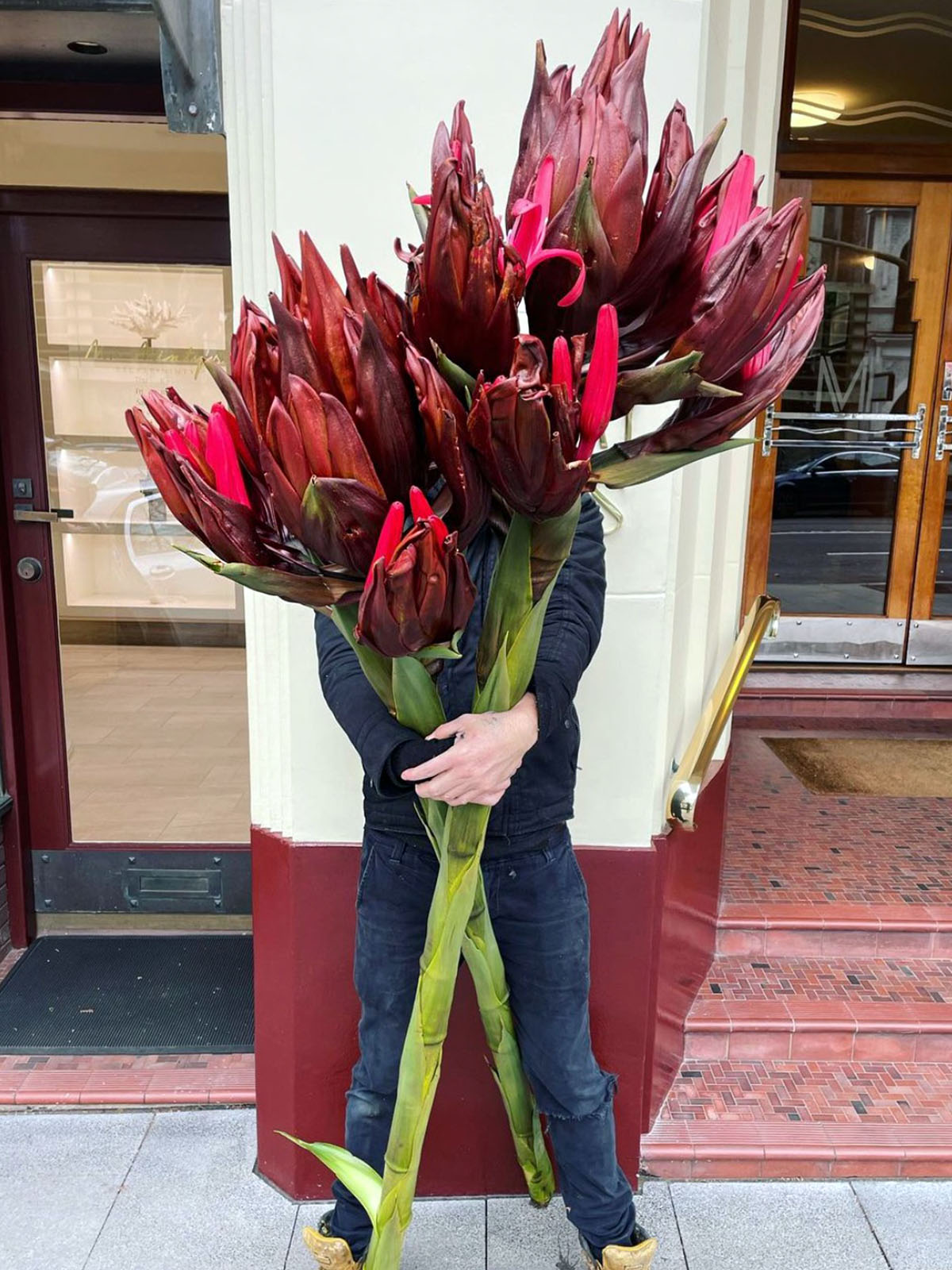 Gymea Lily Australia by Grandiflora on Thursd