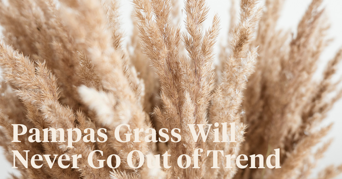 7 Ways Pampas Grass Will Create a Jaw-Dropping Home Decoration
