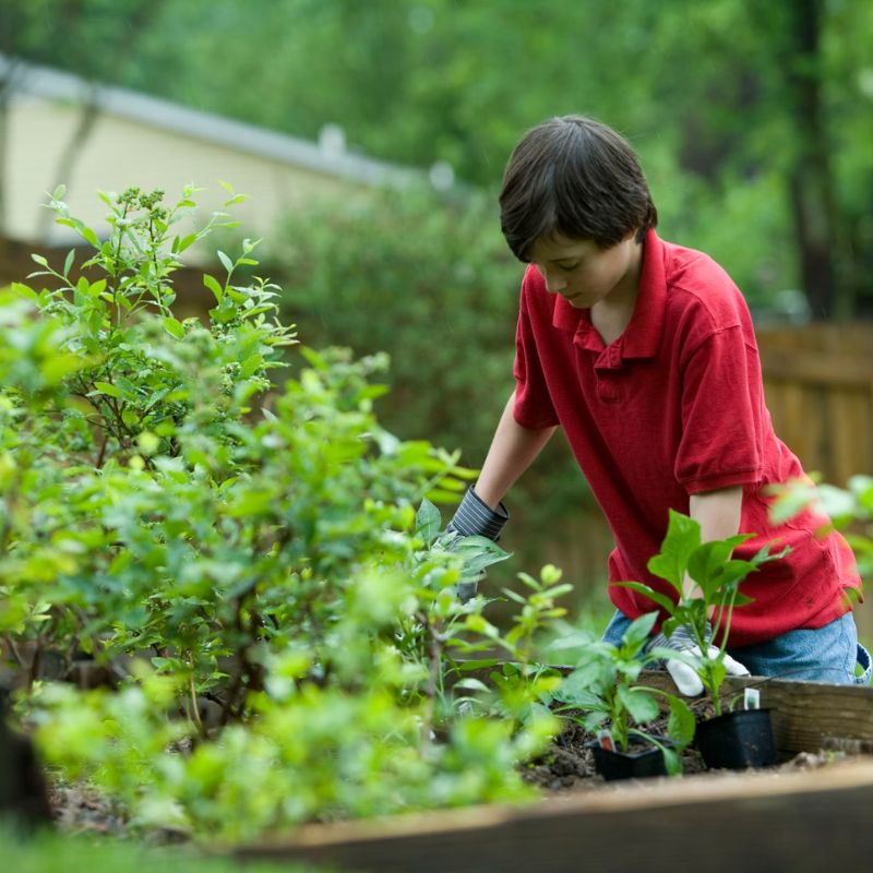 Gardening Lessons are Important on Thursd Featured