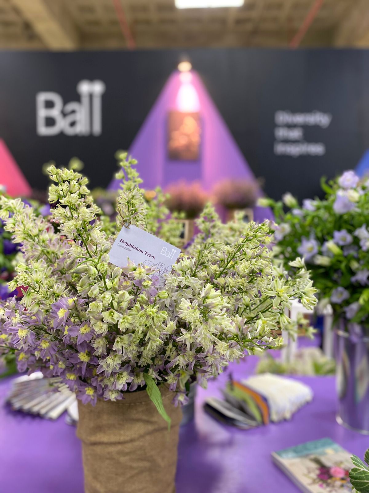 Ball With the New Variety Delphinium Trick Lavender at IFTF 2022 on Thursd