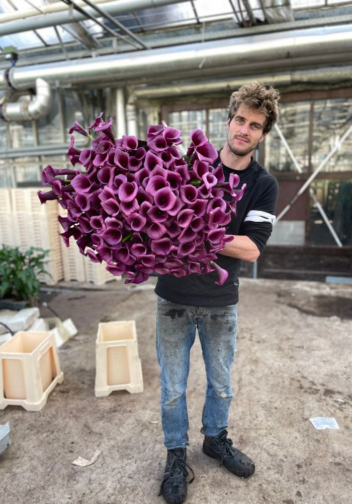Rob de Boer with Calla flowers in hands