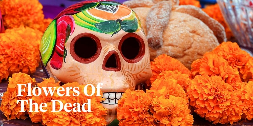 What Is The Significance Of Marigolds On Day Of The Dead at Sara Lillie ...