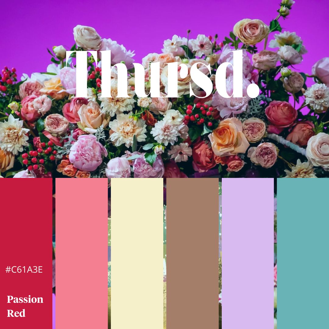The Perfect Floral Trend Color Palette For 2023 Using David Austin Roses