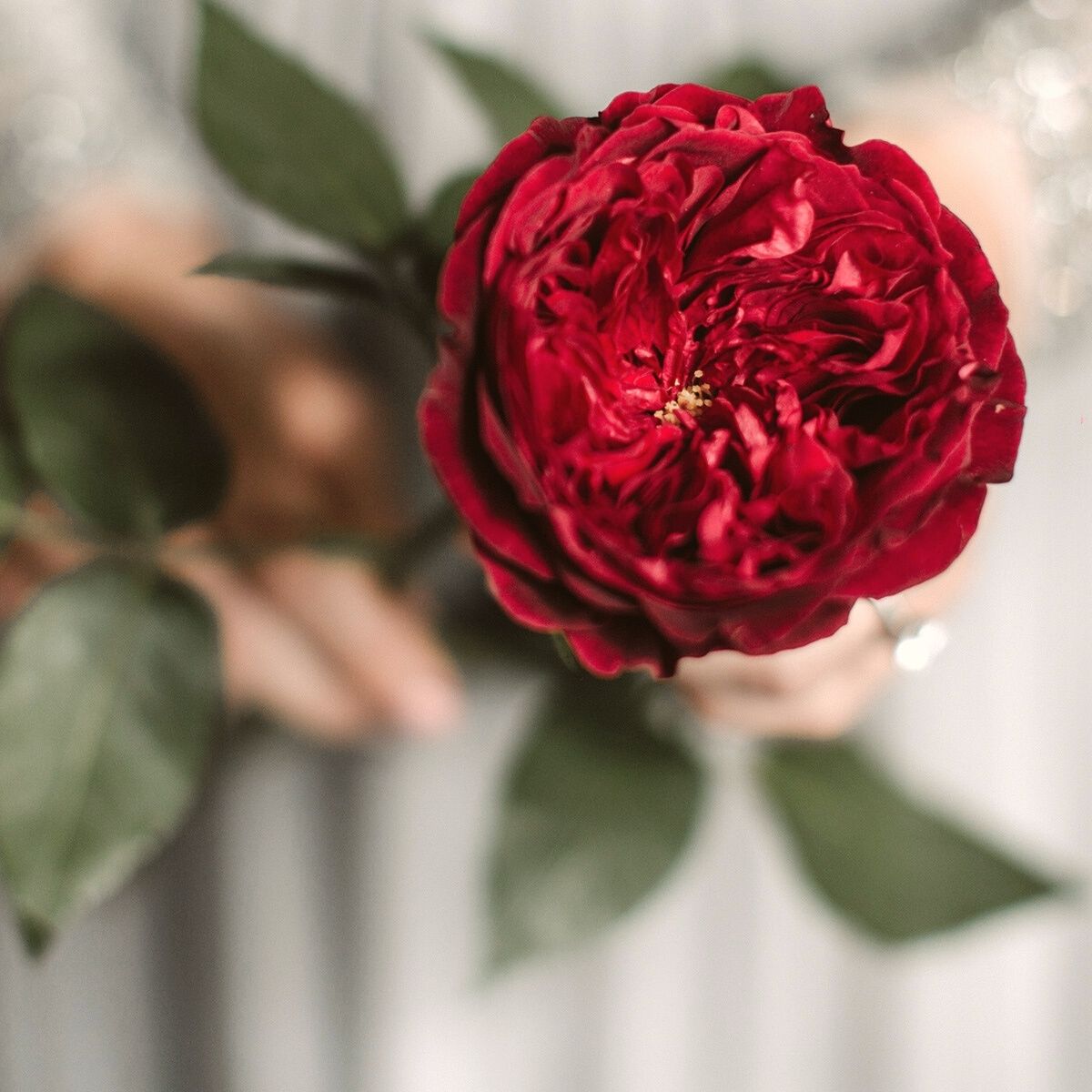 Rose Tess makes part of the floral trend color palette on Thursd
