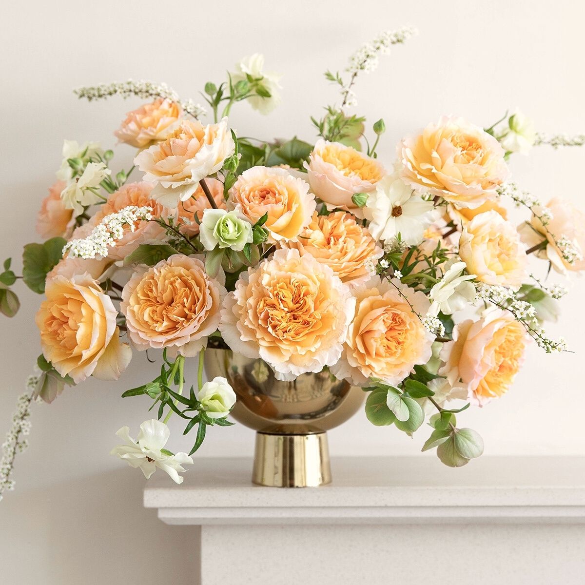 The Perfect Floral Trend Color Palette for 2023 Using David Austin Roses